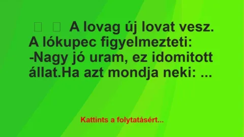 Vicc:
A lovag új lovat vesz. A lókupec… Vicc:
A lovag új lovat vesz. A lókupec…