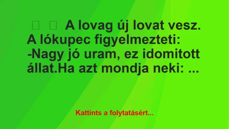 Vicc:
A lovag új lovat vesz. A lókupec… Vicc:
A lovag új lovat vesz. A lókupec…