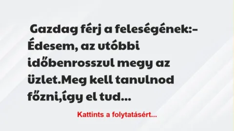 Vicc: A milliomos férj panaszkodik a feleségének, hogy rosszul megy az…