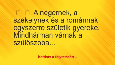 Vicc: 
	    	    A négernek, a székelynek és a románnak egyszerre születik…