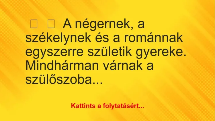 Vicc:
A négernek, a székelynek és a románnak egyszerre születik… Vicc:
A négernek, a székelynek és a románnak egyszerre születik…