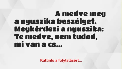 Vicc: A nyuszika és a medve beszélget