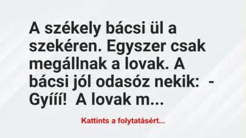Vicc: A székely bácsi ül a szekéren. Egyszer csak megállnak a lovak. A bácsi… Vicc: A székely bácsi ül a szekéren. Egyszer csak megállnak a lovak. A bácsi…