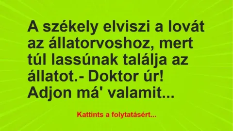Vicc: A székely elviszi a lovát az állatorvoshoz, mert túl lassúnak találja…