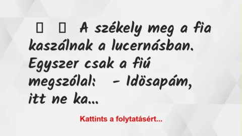 Vicc: 
	    	    A székely meg a fia kaszálnak a lucernásban.


Egyszer…