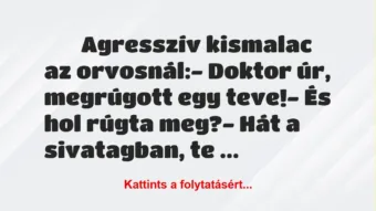 Vicc: 
		  
		  Agresszív kismalac az orvosnál:- Doktor úr,…