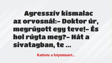 Vicc: 
		  
		  Agresszív kismalac az orvosnál:- Doktor úr,…