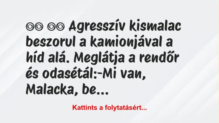 Vicc:
Agresszív kismalac beszorul a kamionjával a híd a… Vicc:
Agresszív kismalac beszorul a kamionjával a híd a…