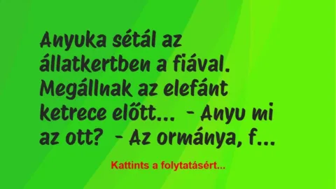 Vicc: Anyuka sétál az állatkertben a fiával. Megállnak az elefánt ketrece el… Vicc: Anyuka sétál az állatkertben a fiával. Megállnak az elefánt ketrece el…