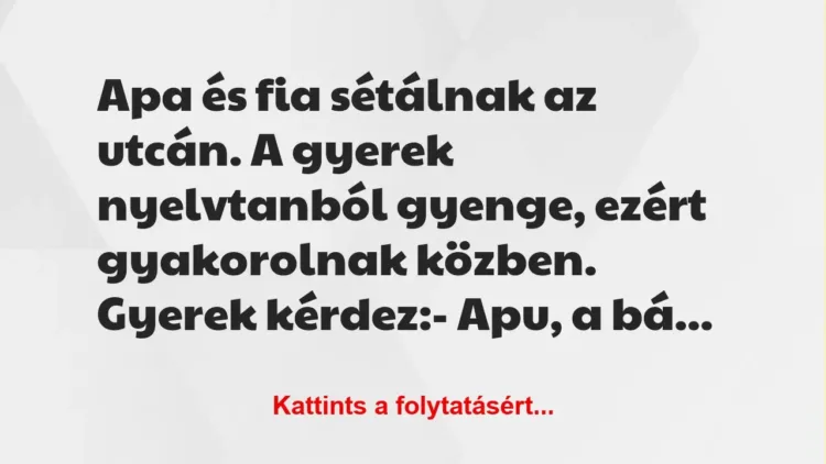Vicc: Apa és fia sétálnak az utcán. A gyerek nyelvtanból gyenge, ezért… Vicc: Apa és fia sétálnak az utcán. A gyerek nyelvtanból gyenge, ezért…