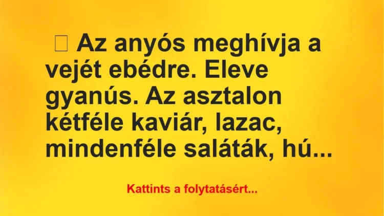 Vicc: Az anyós meghívja a vejét ebédre Vicc: Az anyós meghívja a vejét ebédre