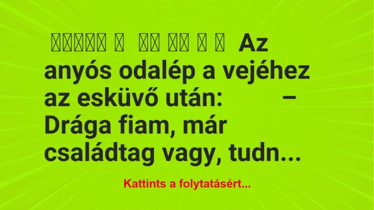 Vicc: Az anyós odalép a vejéhez az esküvő után: Vicc: Az anyós odalép a vejéhez az esküvő után: