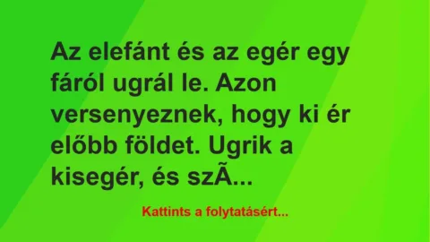 Vicc: Az elefánt és az egér egy fáról ugrál le.
Azon versenyeznek,… Vicc: Az elefánt és az egér egy fáról ugrál le.
Azon versenyeznek,…