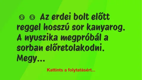 Vicc: 
	    	    Az erdei bolt előtt reggel hosszú sor kanyarog.


A…