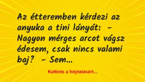 Vicc: Az étteremben kérdezi az anyuka a tini lányát:

– Nagyon mérges…