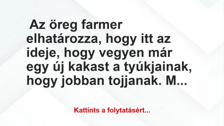 Vicc: Az öreg farmer elhatározza Vicc: Az öreg farmer elhatározza