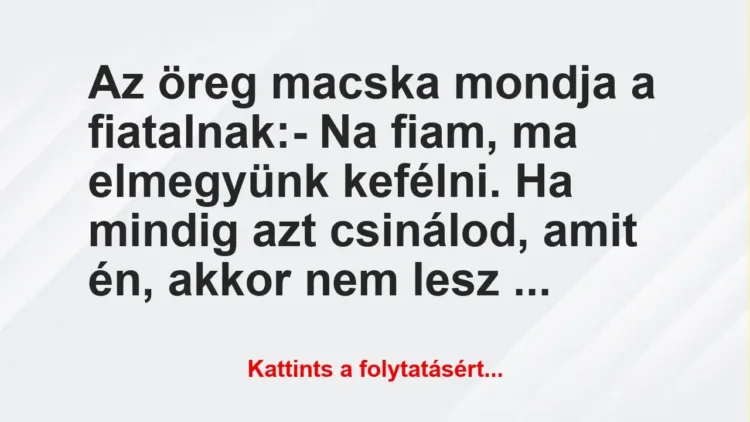 Vicc: Az öreg macska mondja a fiatalnak:
– Na fiam, ma elmegyünk… Vicc: Az öreg macska mondja a fiatalnak:
– Na fiam, ma elmegyünk…