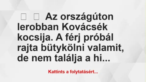 Vicc:
Az országúton lerobban Kovácsék kocsija. A férj próbál… Vicc:
Az országúton lerobban Kovácsék kocsija. A férj próbál…