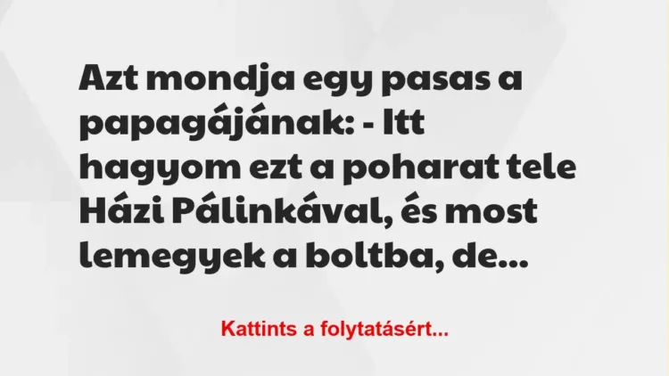 Vicc: Azt mondja egy pasas a papagájának:
– Itt hagyom ezt a poharat… Vicc: Azt mondja egy pasas a papagájának:
– Itt hagyom ezt a poharat…