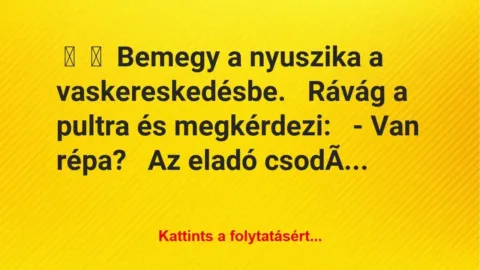 Vicc: 
	    	    Bemegy a nyuszika a vaskereskedésbe.


Rávág a pultra …