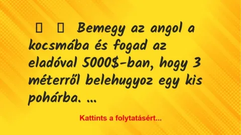 Vicc: 
	    	    Bemegy az angol a kocsmába és fogad az eladóval 5000$-ban, …
