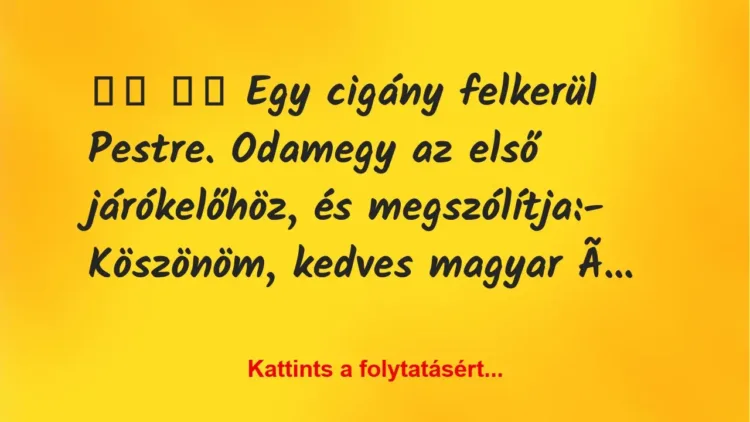 Vicc:
Egy cigány felkerül Pestre. Odamegy az első… Vicc:
Egy cigány felkerül Pestre. Odamegy az első…