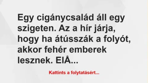 Vicc: Egy cigánycsalád áll egy szigeten. Az a hír járja, hogy ha átússzák a…