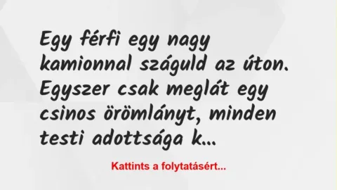 Vicc: Egy férfi egy nagy kamionnal száguld az úton. Egyszer csak meglát egy… Vicc: Egy férfi egy nagy kamionnal száguld az úton. Egyszer csak meglát egy…