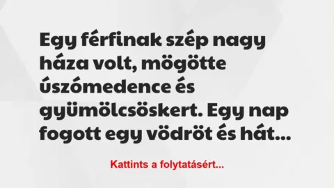 Vicc: Egy férfinak szép nagy háza volt, mögötte úszómedence és… Vicc: Egy férfinak szép nagy háza volt, mögötte úszómedence és…