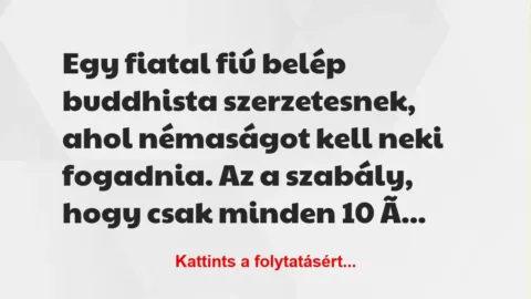 Vicc: Egy fiatal fiú belép buddhista szerzetesnek, ahol némaságot kell neki… Vicc: Egy fiatal fiú belép buddhista szerzetesnek, ahol némaságot kell neki…