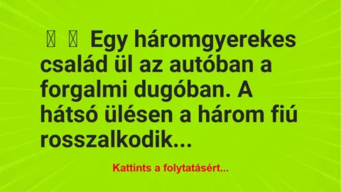 Vicc:
Egy háromgyerekes család ül az autóban a forgalmi dugóban. … Vicc:
Egy háromgyerekes család ül az autóban a forgalmi dugóban. …