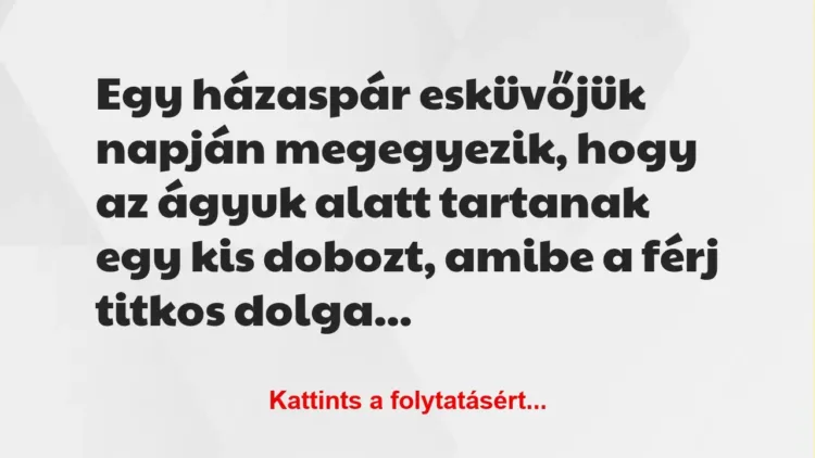 Vicc: Egy házaspár esküvőjük napján megegyezik, hogy az ágyuk alatt tartanak… Vicc: Egy házaspár esküvőjük napján megegyezik, hogy az ágyuk alatt tartanak…