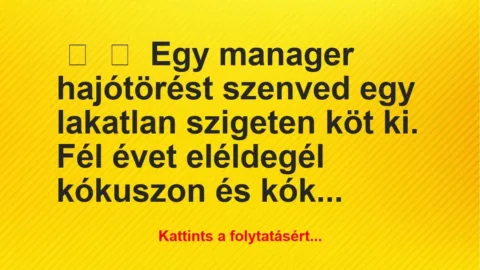 Vicc:
Egy manager hajótörést szenved egy lakatlan szigeten köt… Vicc:
Egy manager hajótörést szenved egy lakatlan szigeten köt…
