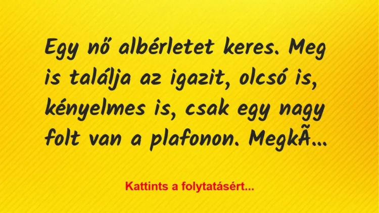 Vicc: Egy nő albérletet keres. Meg is találja az igazit, olcsó is, kényelmes… Vicc: Egy nő albérletet keres. Meg is találja az igazit, olcsó is, kényelmes…