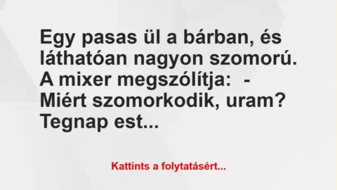 Vicc: Egy pasas ül a bárban, és láthatóan nagyon szomorú. A mixer… Vicc: Egy pasas ül a bárban, és láthatóan nagyon szomorú. A mixer…