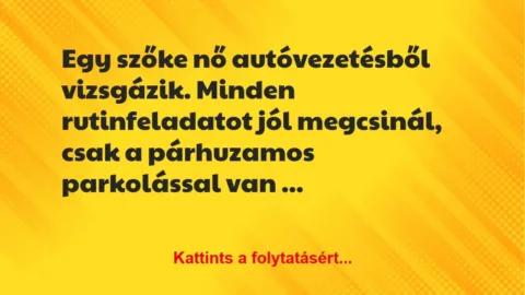 Vicc: Egy szőke nő autóvezetésből vizsgázik. Minden rutinfeladatot jól… Vicc: Egy szőke nő autóvezetésből vizsgázik. Minden rutinfeladatot jól…