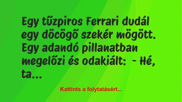 Vicc: Egy tűzpiros Ferrari dudál egy döcögő szekér mögött. Egy adandó… Vicc: Egy tűzpiros Ferrari dudál egy döcögő szekér mögött. Egy adandó…