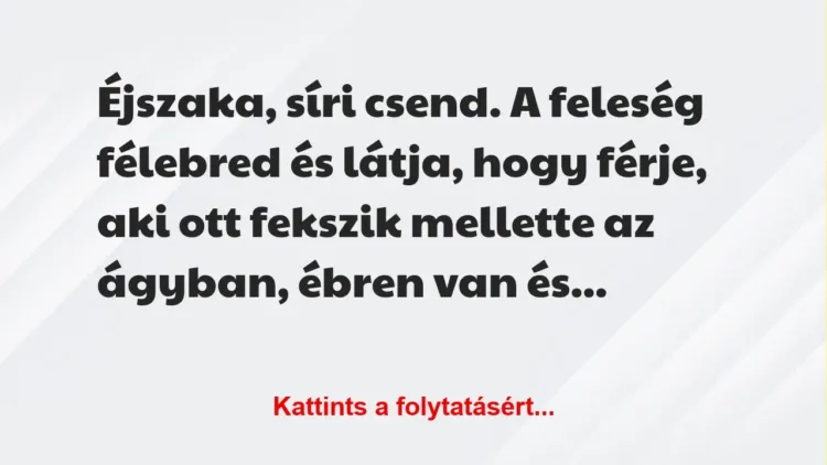 Vicc: Éjszaka, síri csend. A feleség félebred és látja, hogy férje, aki ott… Vicc: Éjszaka, síri csend. A feleség félebred és látja, hogy férje, aki ott…