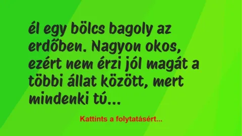 Vicc: él egy bölcs bagoly az erdőben. Nagyon okos, ezért nem érzi jól magát…