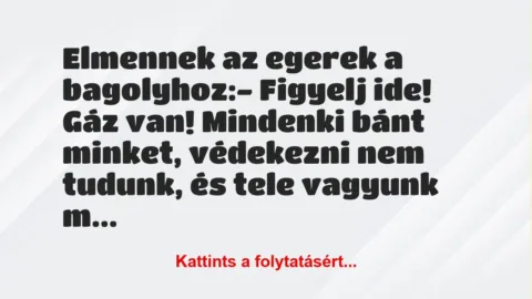 Vicc: Elmennek az egerek a bagolyhoz:

– Figyelj ide! Gáz van! Mindenki…
