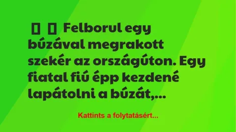 Vicc: 
	    	    Felborul egy búzával megrakott szekér az országúton. Egy…
