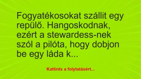 Vicc: Fogyatékosokat szállit egy repülő. Hangoskodnak, ezért a… Vicc: Fogyatékosokat szállit egy repülő. Hangoskodnak, ezért a…