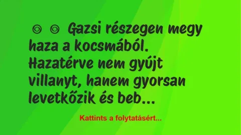 Vicc: 
	    	    Gazsi részegen megy haza a kocsmából.


Hazatérve nem …