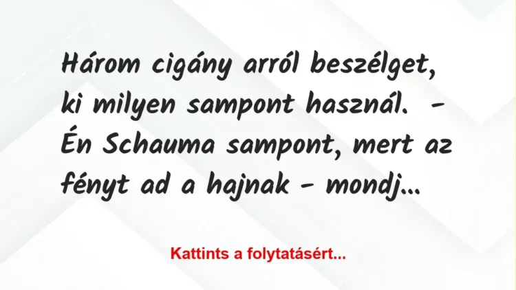 Vicc: Három cigány arról beszélget, ki milyen sampont használ.
– Én… Vicc: Három cigány arról beszélget, ki milyen sampont használ.
– Én…