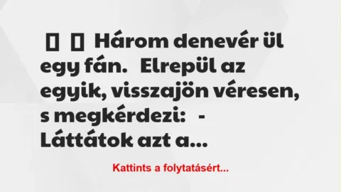 Vicc:
Három denevér ül egy fán.
Elrepül az egyik,… Vicc:
Három denevér ül egy fán.
Elrepül az egyik,…