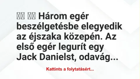 Vicc: 
		  
		  Három egér beszélgetésbe elegyedik az éjszaka…