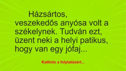 Vicc: Házsártos, veszekedős anyósa volt a székelynek