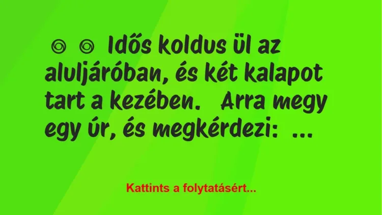 Vicc:
Idős koldus ül az aluljáróban, és két kalapot tart a… Vicc:
Idős koldus ül az aluljáróban, és két kalapot tart a…
