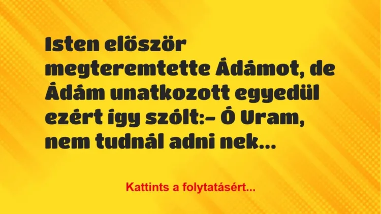 Vicc: Isten először megteremtette Ádámot, de Ádám unatkozott egyedül ezért… Vicc: Isten először megteremtette Ádámot, de Ádám unatkozott egyedül ezért…