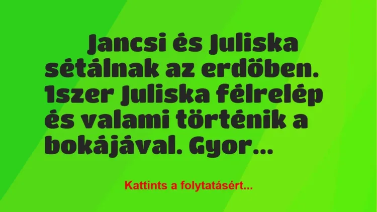 Vicc:
Jancsi és Juliska sétálnak az erdőben. 1szer Juliska… Vicc:
Jancsi és Juliska sétálnak az erdőben. 1szer Juliska…